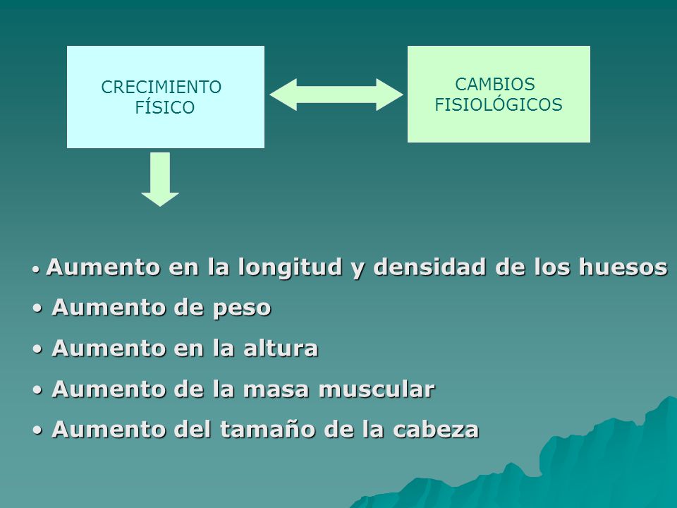 La operación la alineación del pene